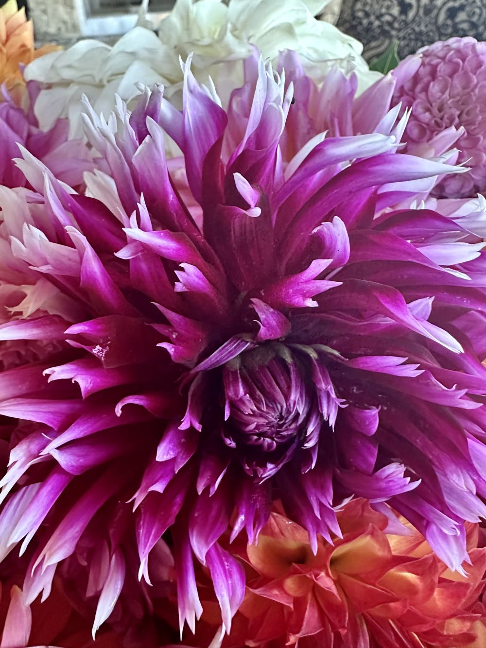 Alauna Claire-obscur  ornament collectible - Main Image 2