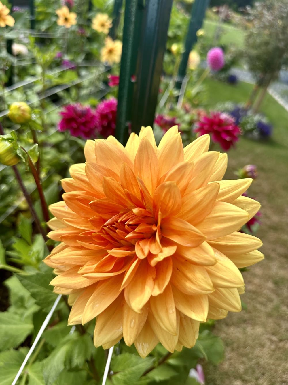 Tim Horton’s Location