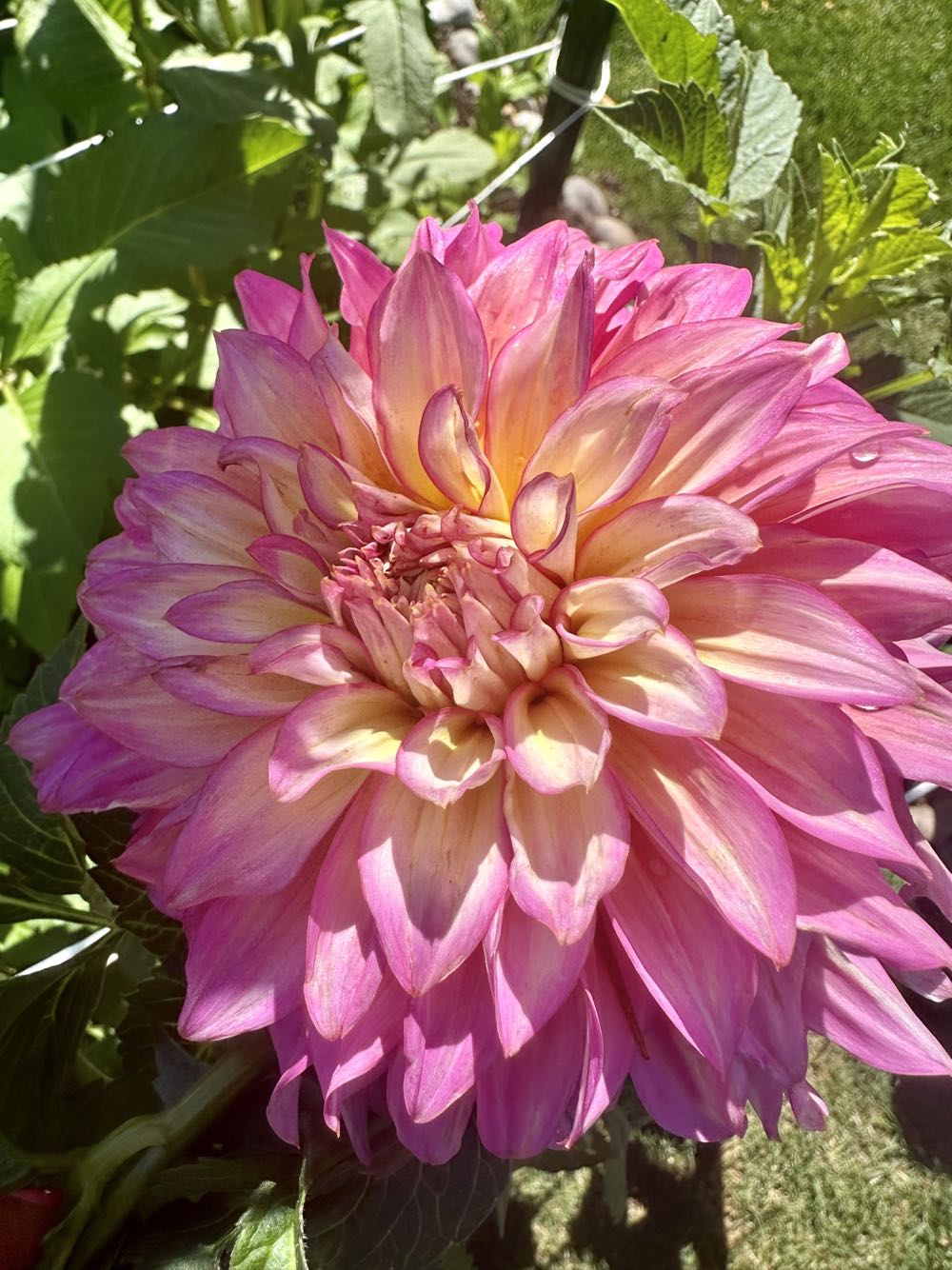 Dept. 56 - Original Snow Village - Christmas - Tudor House - #56.50617