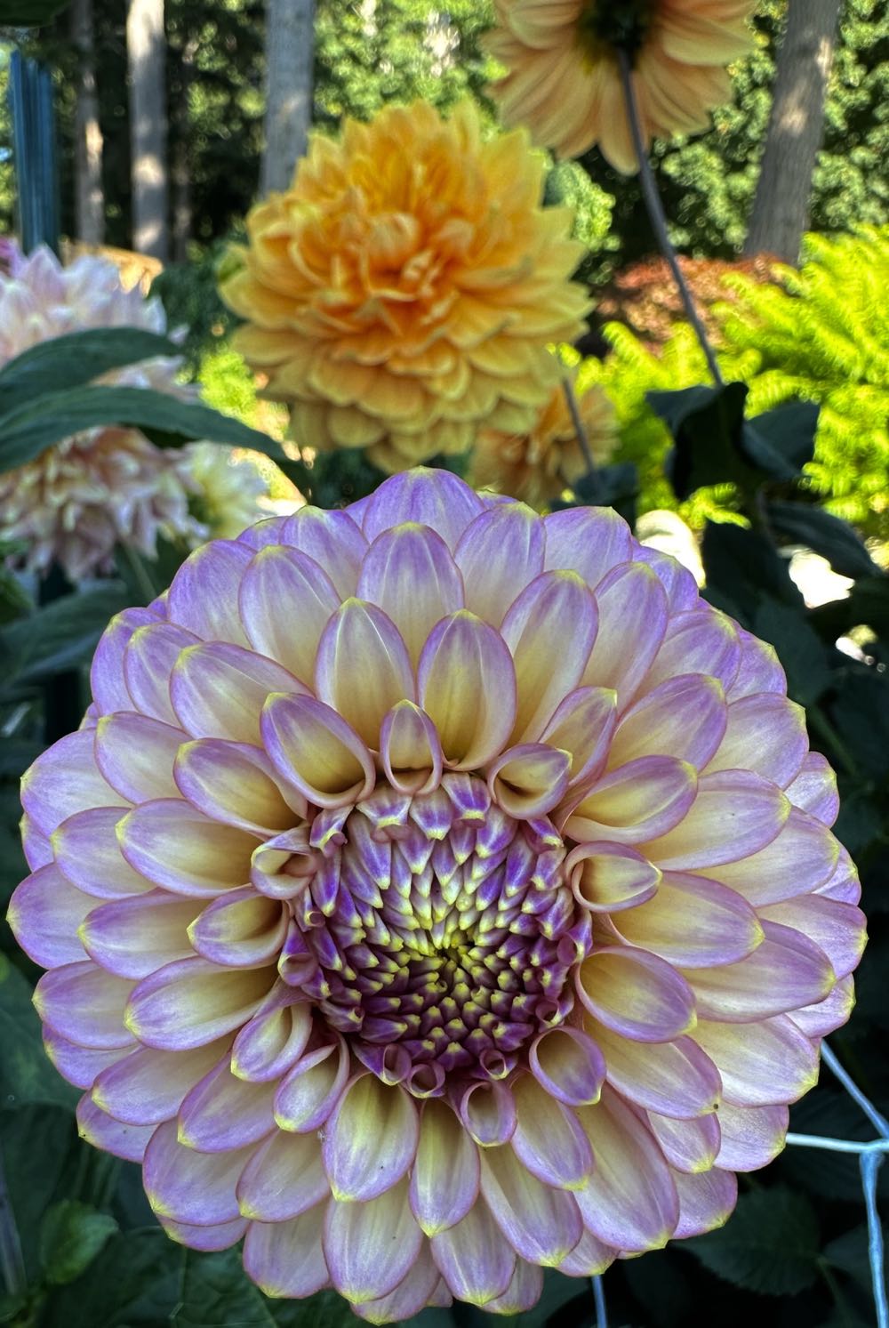 Anchor Hocking Dessert Bowl Spiral