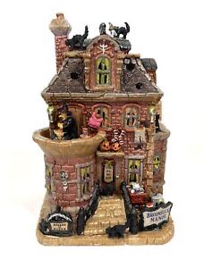 The Wonders If Nature