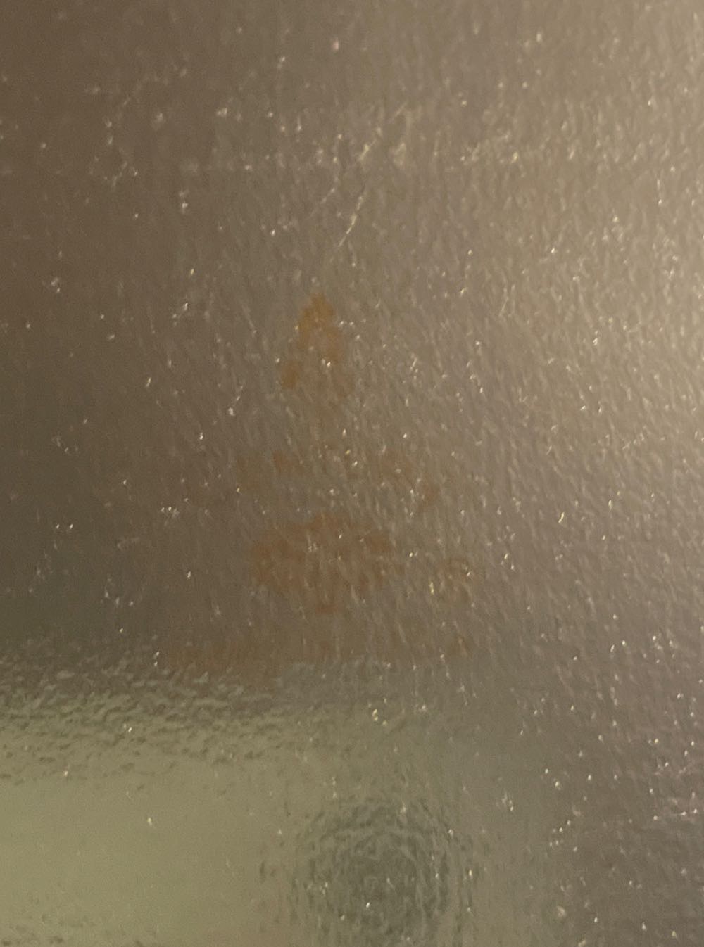 Century - Christmas - Madonna & Child - Single Fold (Greeting Card) ornament collectible - Main Image 3