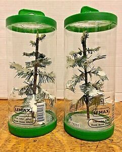 Alaska Bear In Canoe