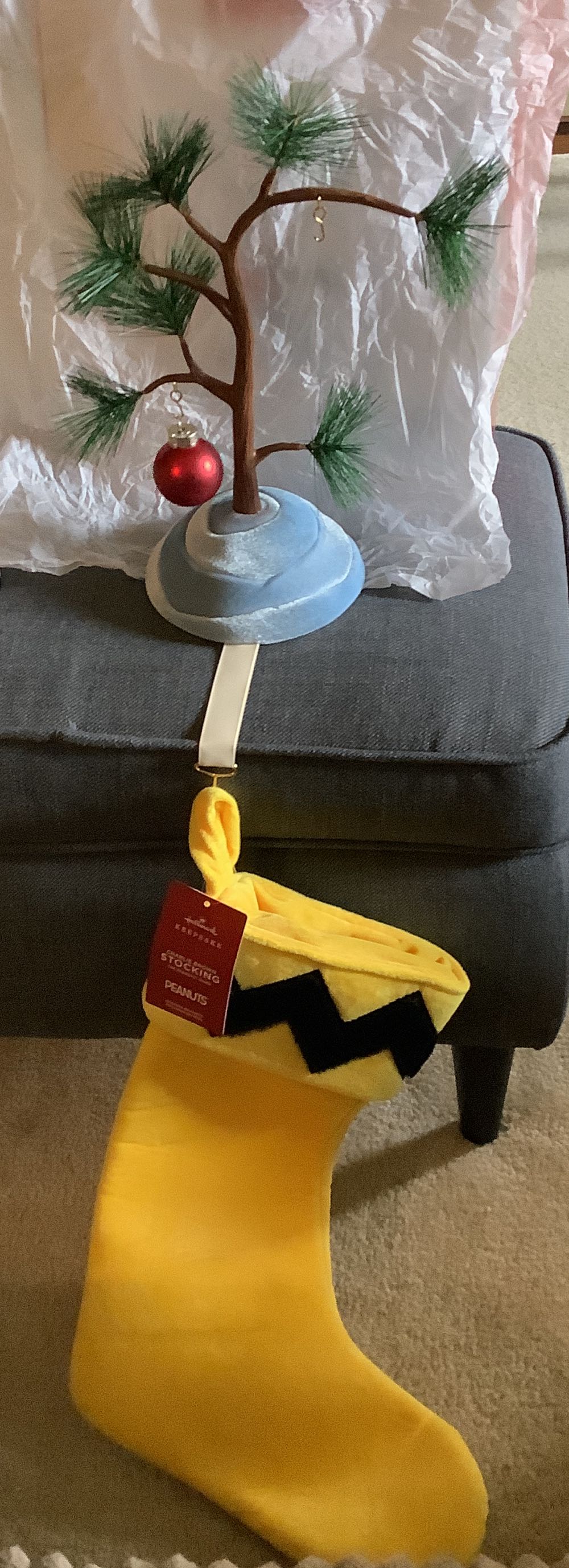 A Charlie Brown Christmas Ornament And Stocking Hanger - Peanuts (Peanuts) ornament collectible [Barcode 763795822072] - Main Image 2