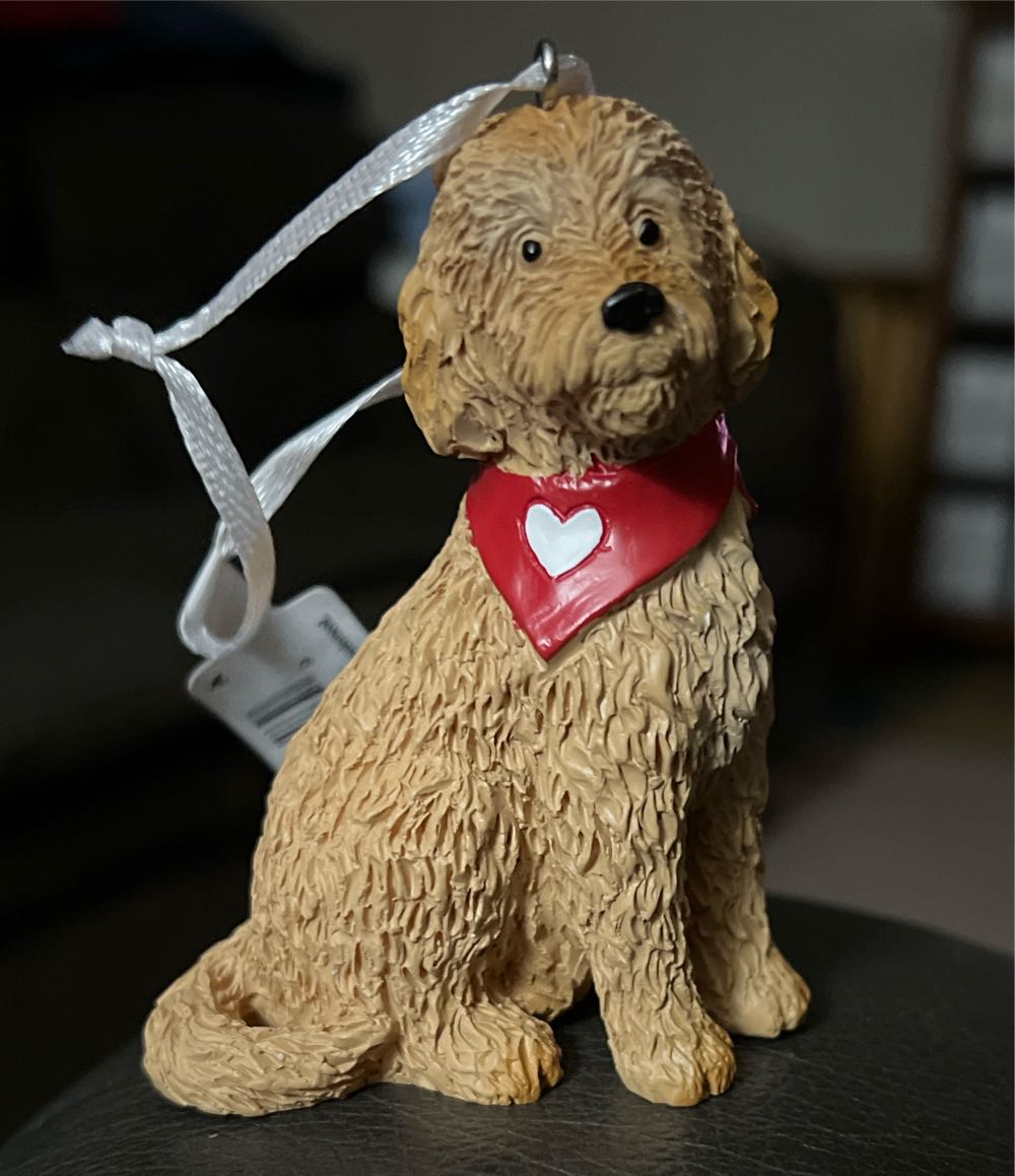 Manatee With A Moving Flipper