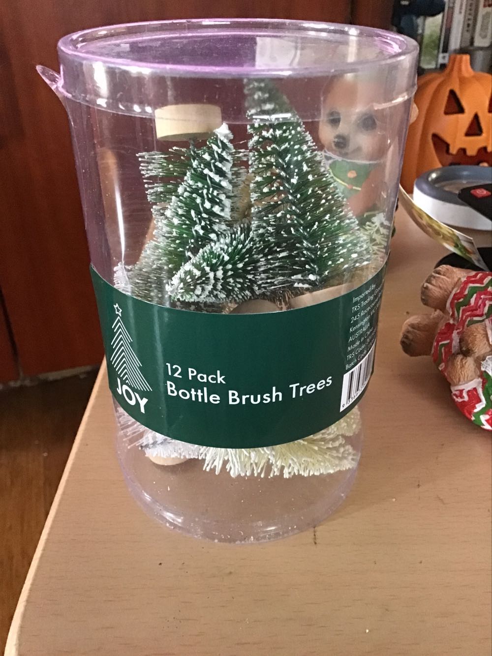 Merry Miniature You Stole My Heart! Raccoon