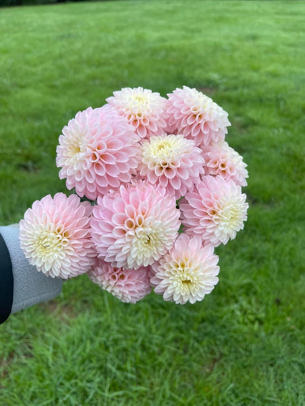 Frosty Friends 2006 Making S’mores