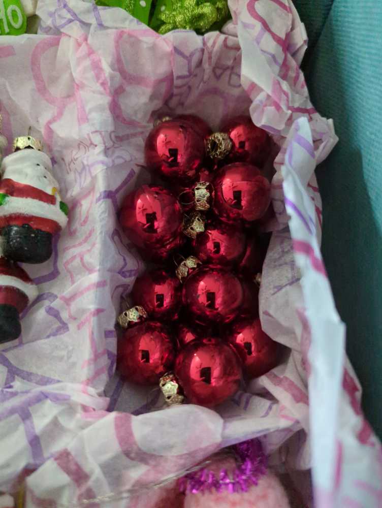 ANIMALS - Leaf Nosed Bat