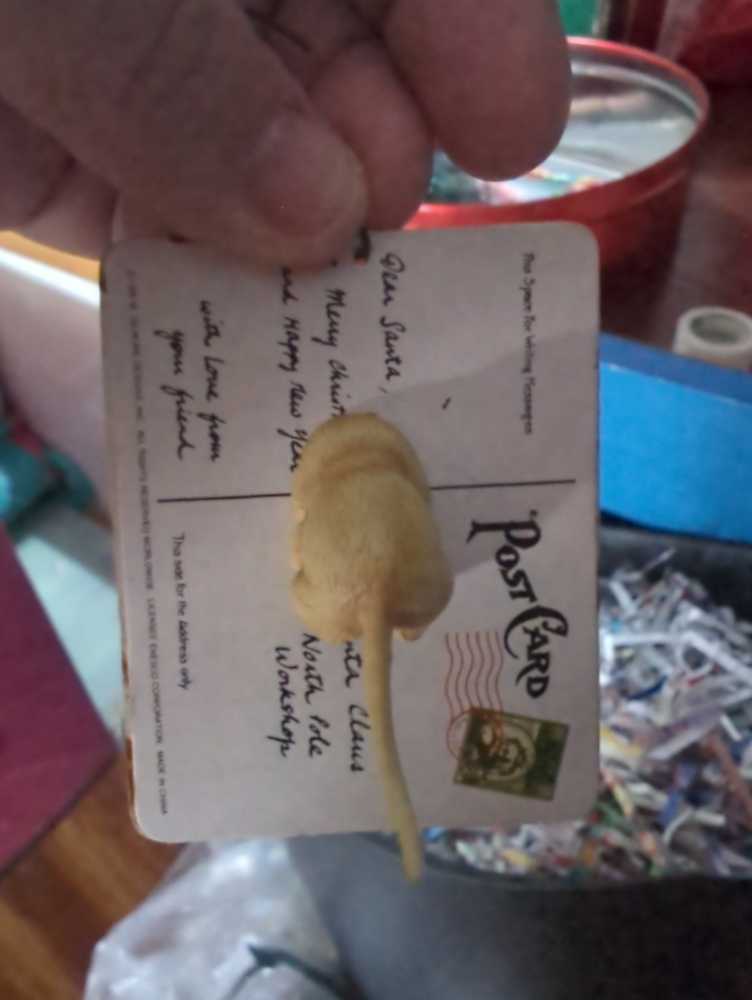 A Merry Christmas Postcard  ornament collectible - Main Image 2