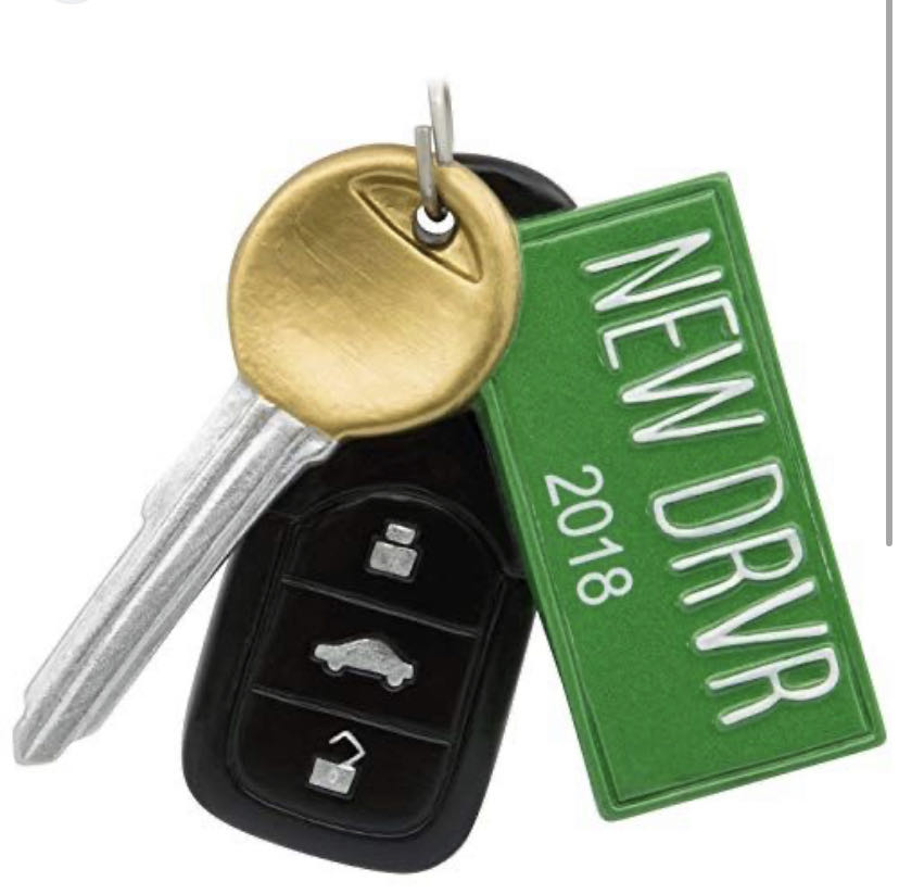 Unbranded - Halloween - Die Cut - Jack O’ Lantern With Black Kitten