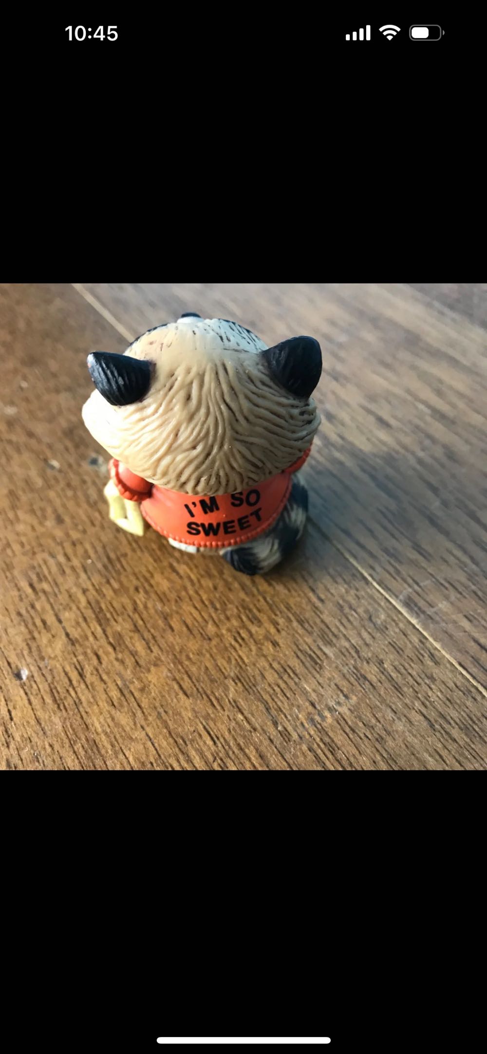 Trick Or Treat Raccoon  ornament collectible - Main Image 2