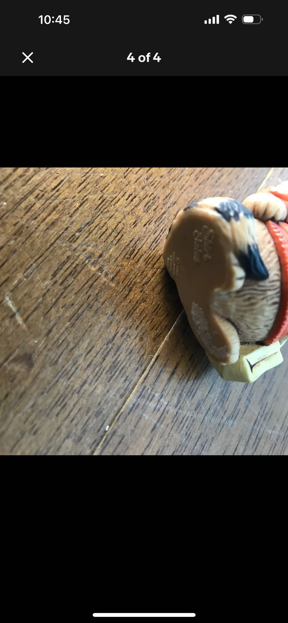 Trick Or Treat Raccoon  ornament collectible - Main Image 3