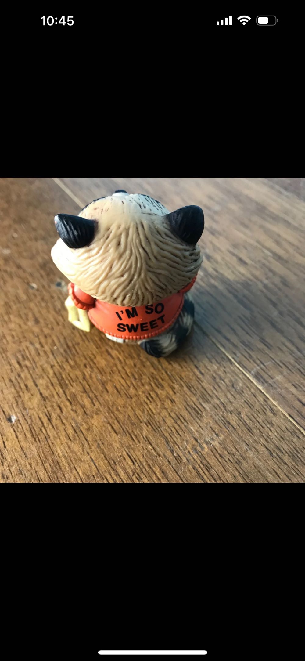 Trick Or Treat Raccoon  ornament collectible - Main Image 4