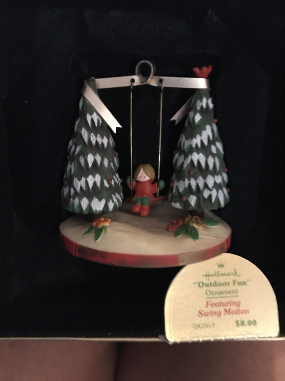 Trick Or Treat Raccoon