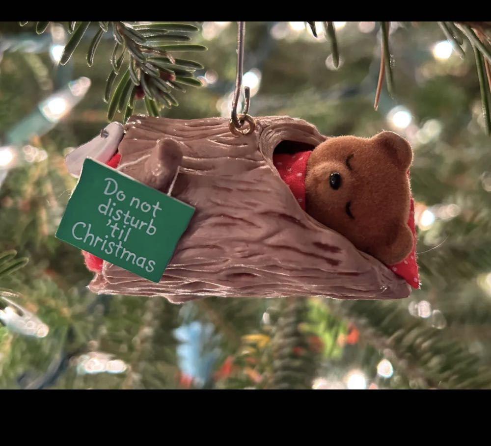 Do Not Disturb Bear ornament collectible - Main Image 3