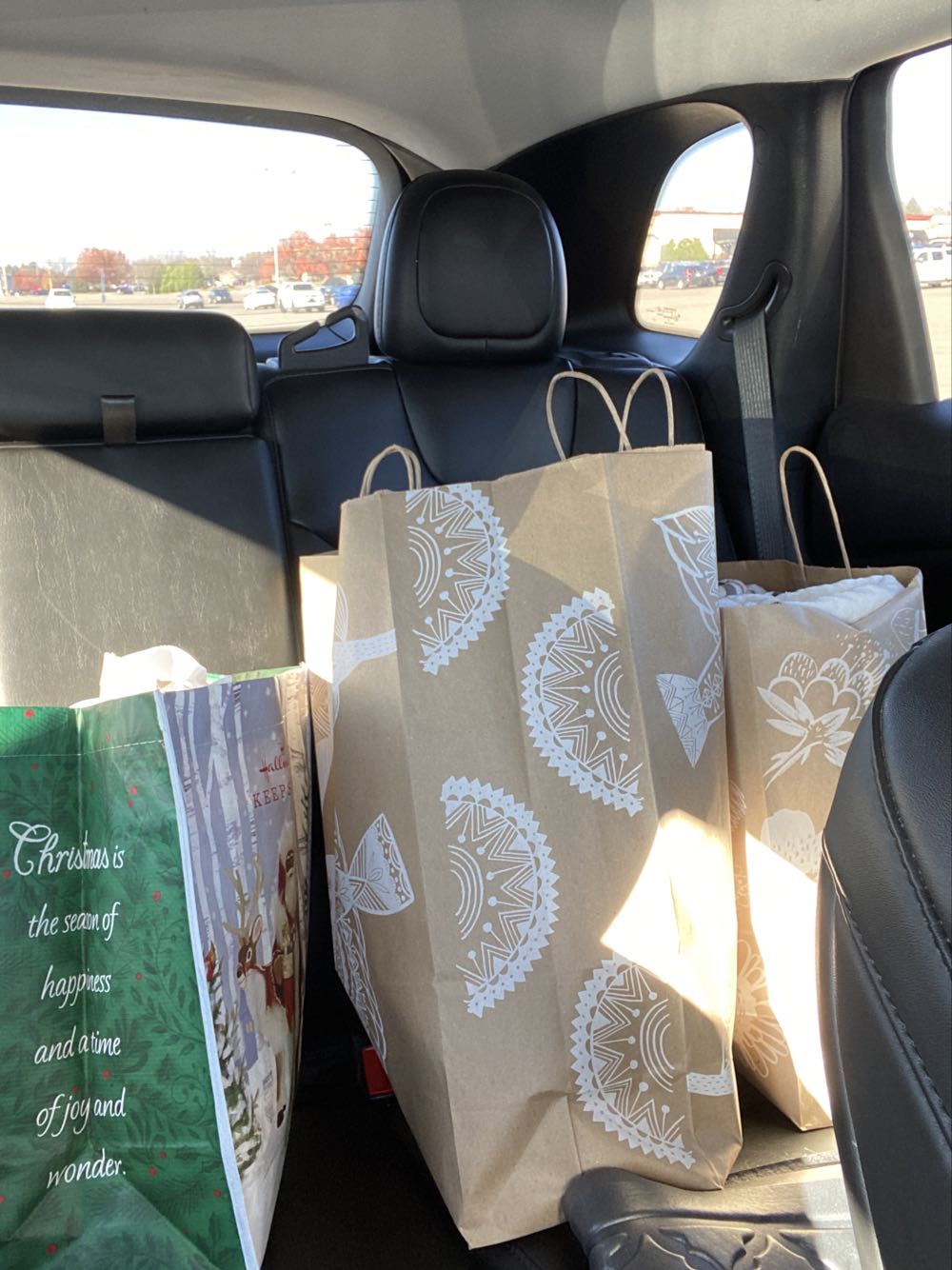 Bradford 68234 “All I Want Is Courage”