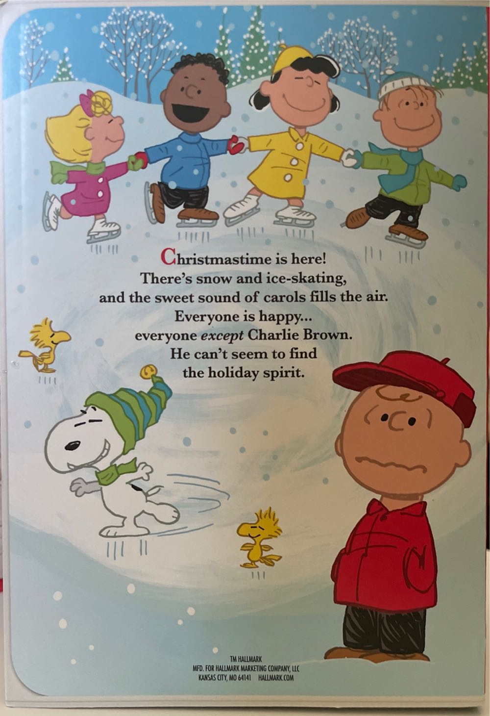 A Charlie Brown Christmas - Bookshelf (Snoopy) ornament collectible - Main Image 3