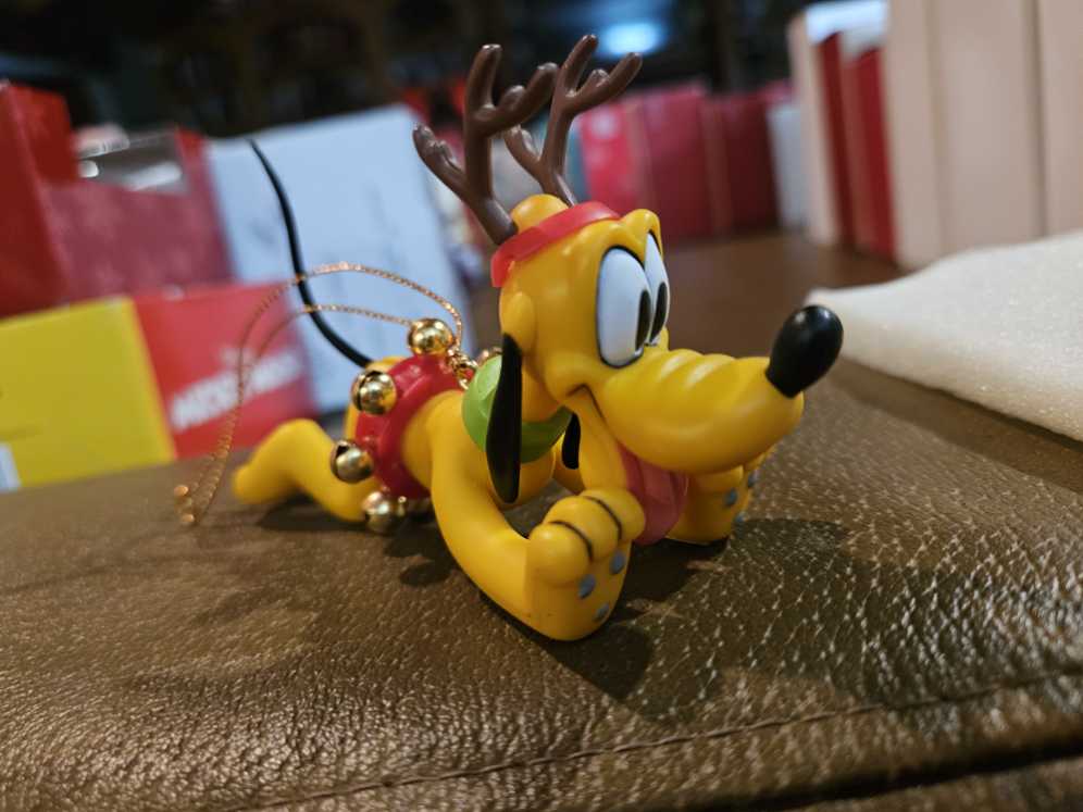 Lit Christmas Tree Lot