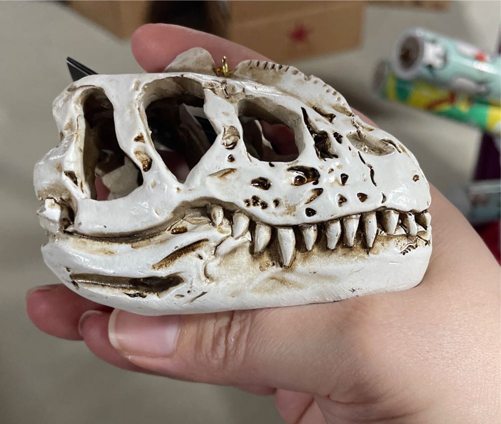 DINOS - Dilophosaurus Skull Hobby Lobby  ornament collectible [Barcode 5949342] - Main Image 1