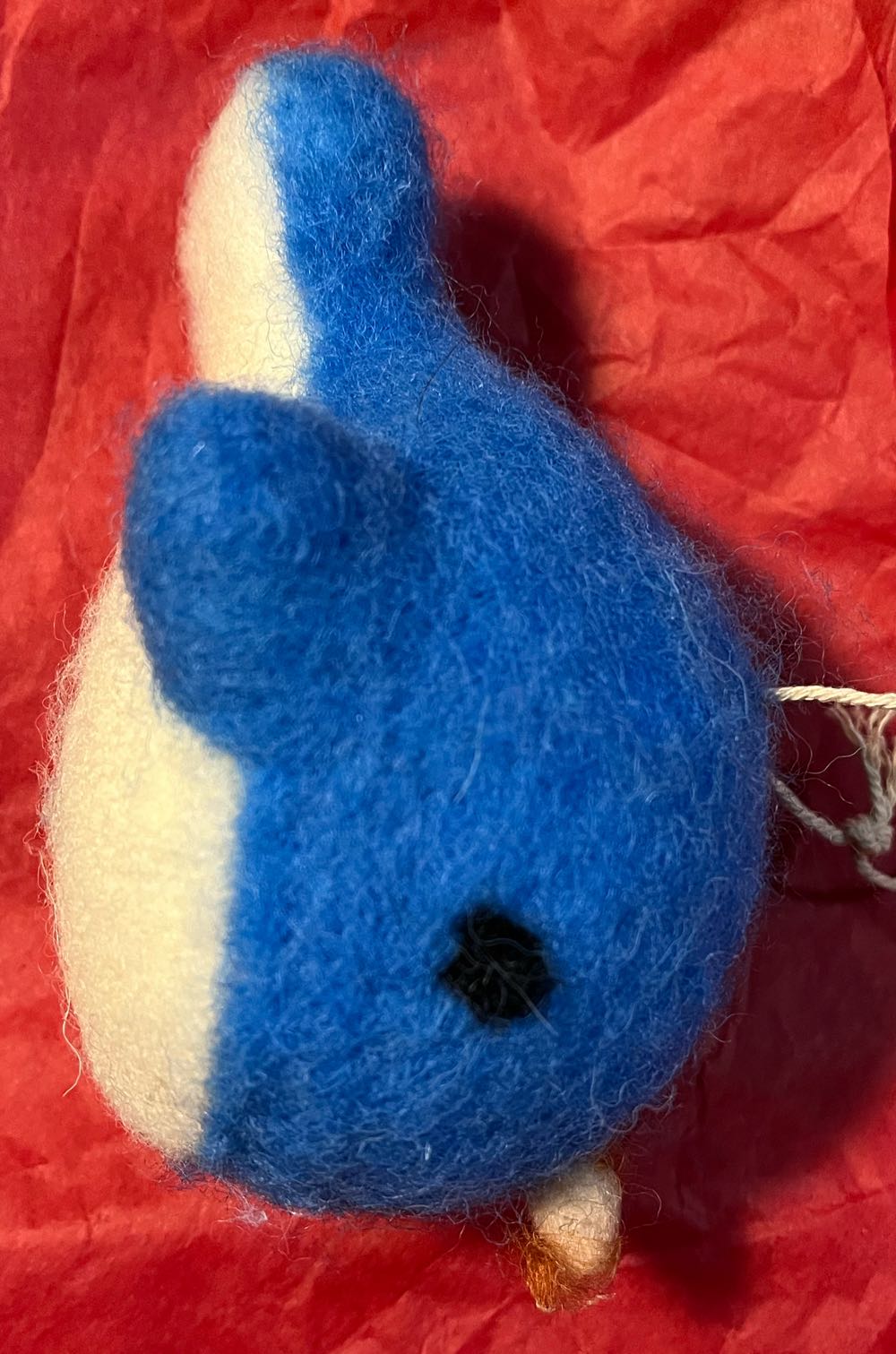 Wild Elk In Great Smokey National Park