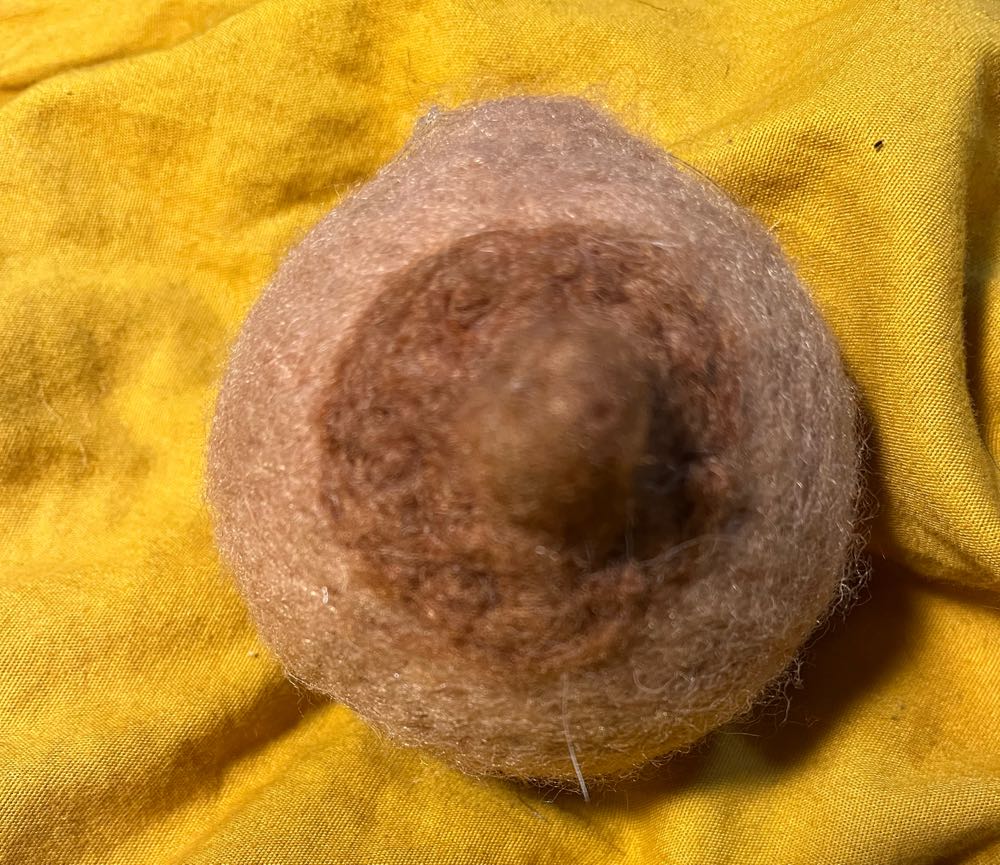 DINOS - T-Rex With Ornament Typo Christmas Ornament