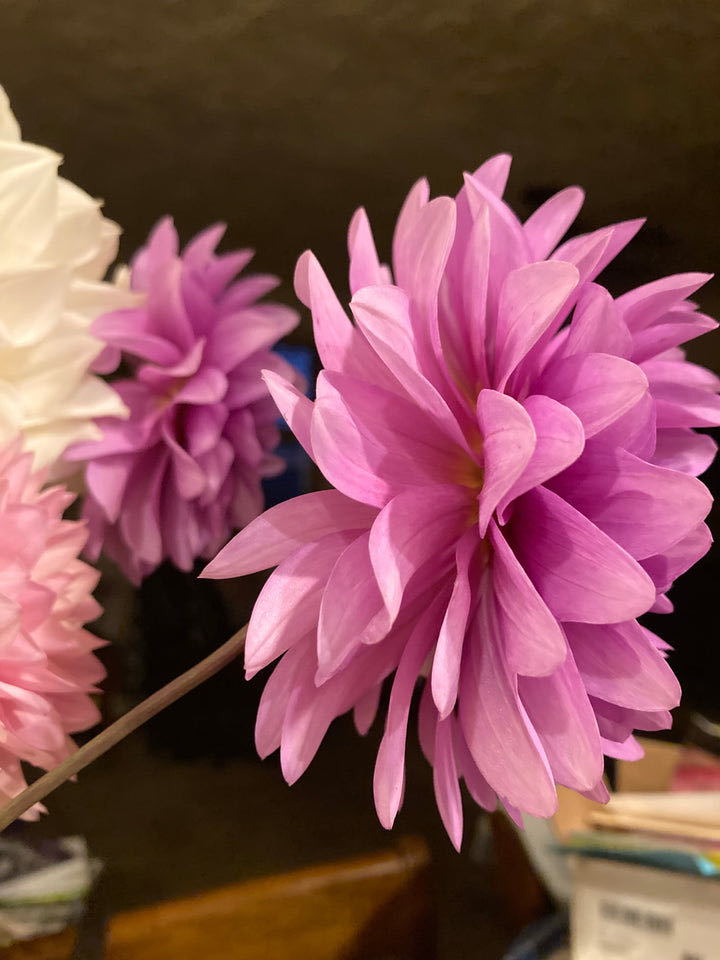 Cooking Up Holiday Fun