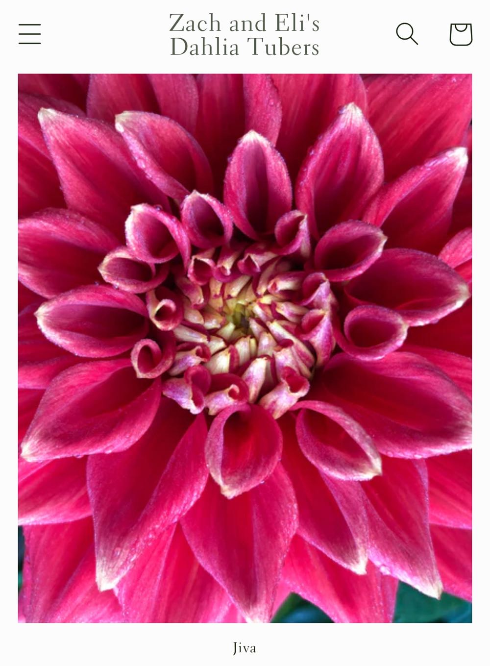 Set Of 3 Dc Justice League Rubber Ducks Duckz Batman Wonder Woman Superman New