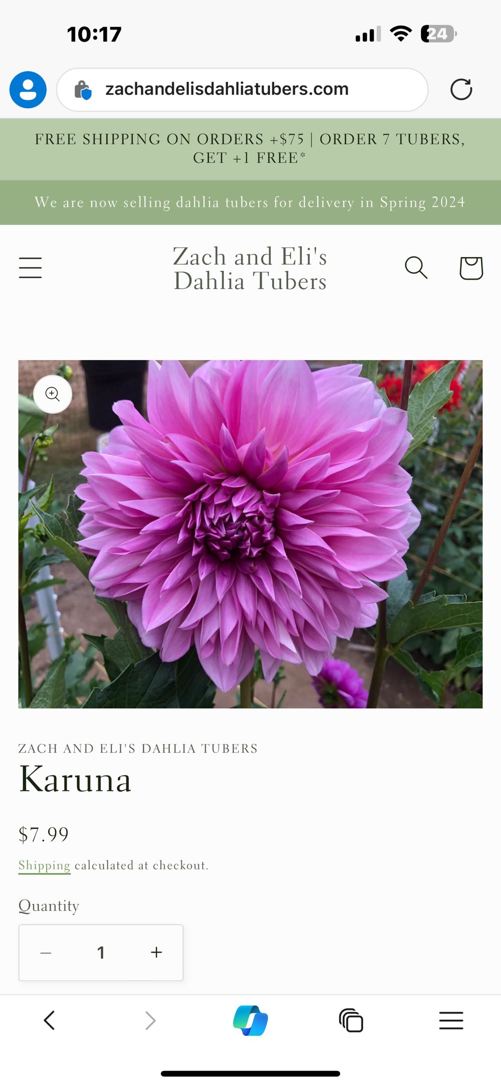 GNOMES - Santa With Candy Cane Joann’s