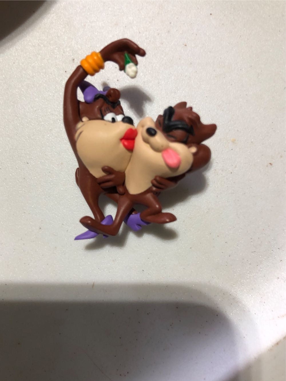 Racoon On Tree Trunk