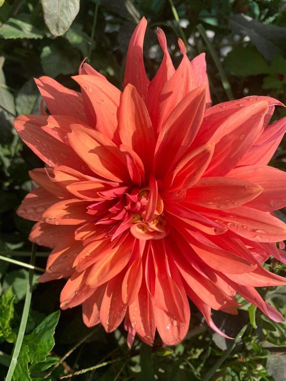 Bird Garden Counted Cross-stitch Kit