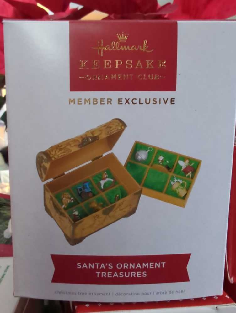 Shark - Ridley’s Aquarium