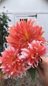 Dimensions Gold Collection Counted Cross Stitch Kit Parrot Tulips 14 Count Black Aida 12’’ X 15’’