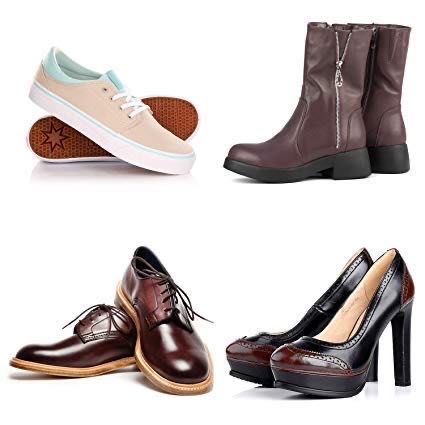 The Great Pumpkin Patch