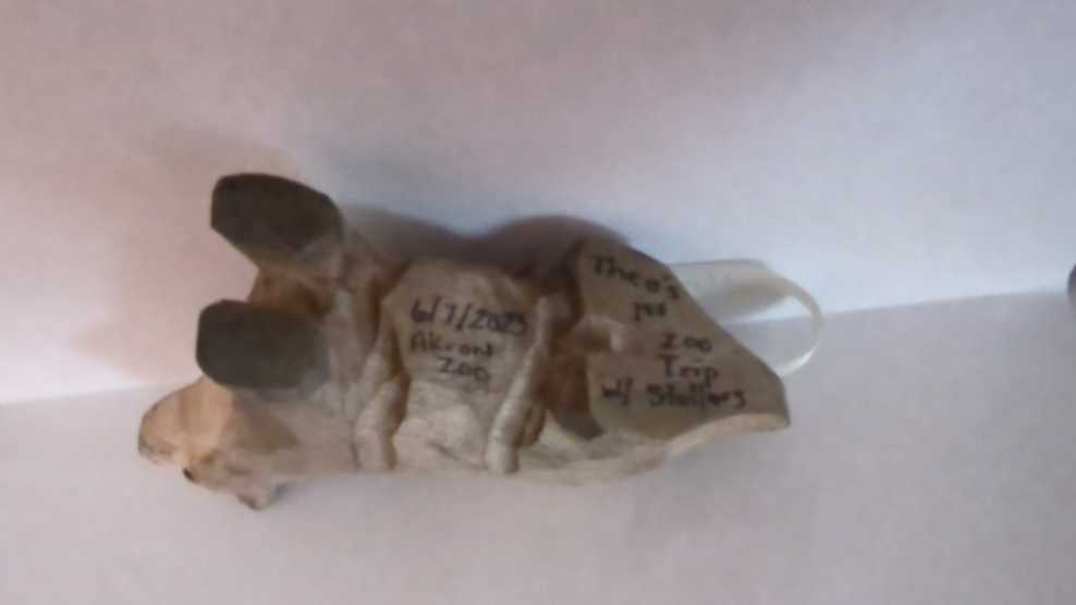 Akron Zoo  (Theo) ornament collectible - Main Image 3