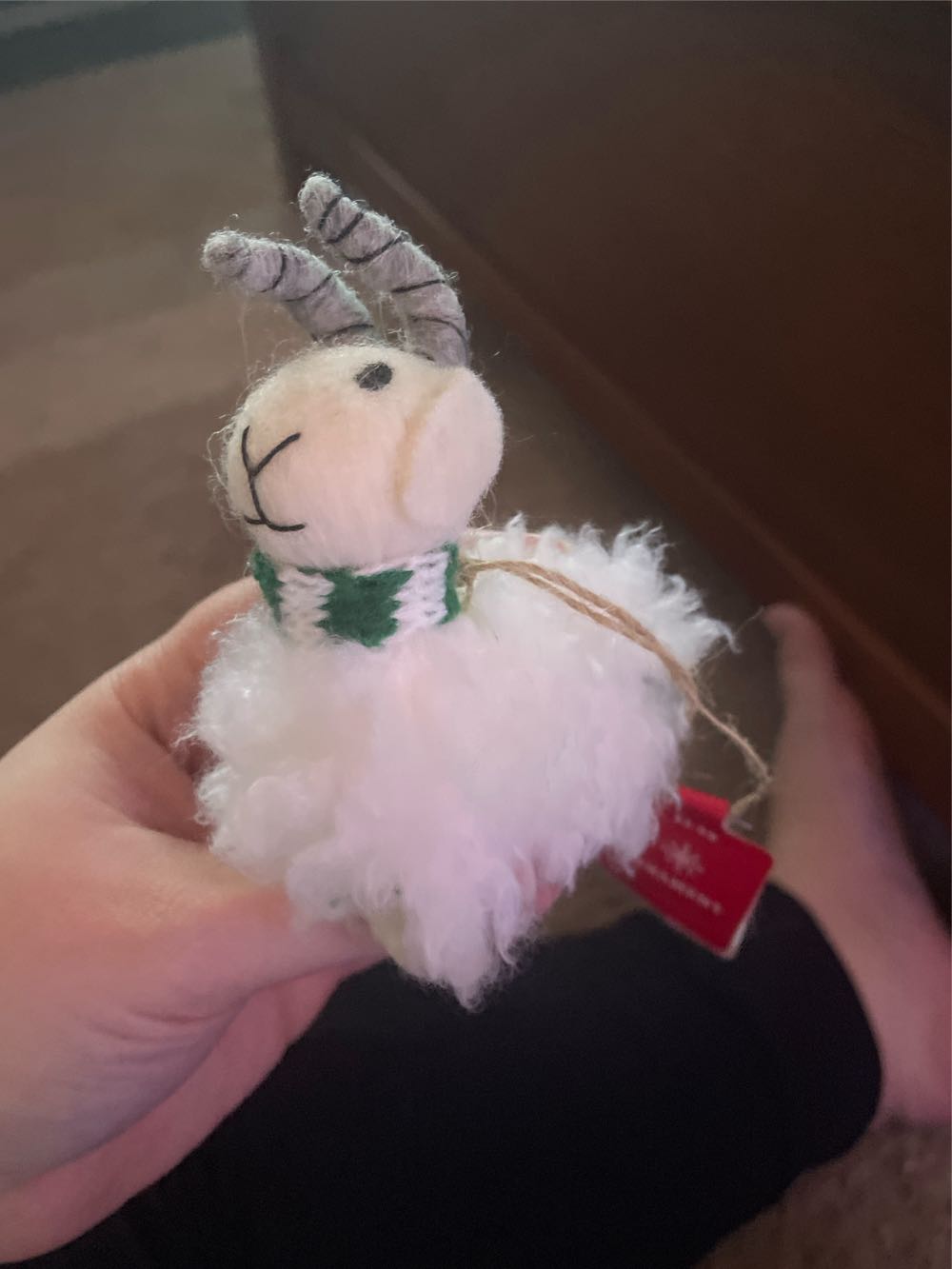 Moth- Midnight Magic