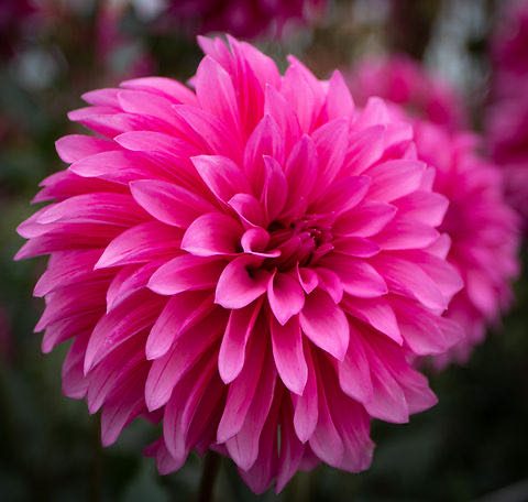 Remote Control Power Outlet