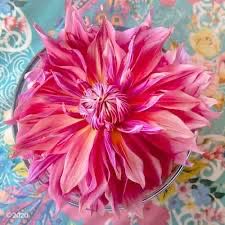 DINOS - T-Rex With Ornament Typo Christmas Ornament