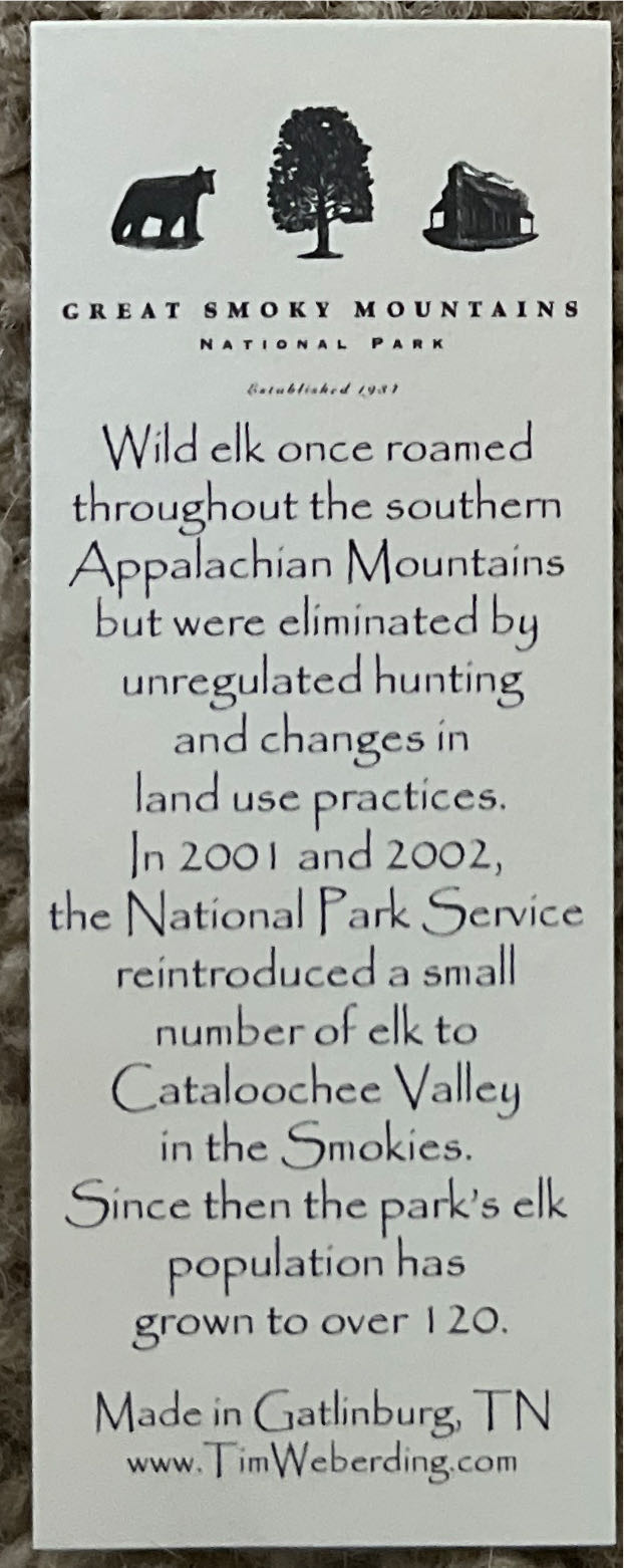 Wild Elk In Great Smokey National Park  (Historical) ornament collectible - Main Image 2