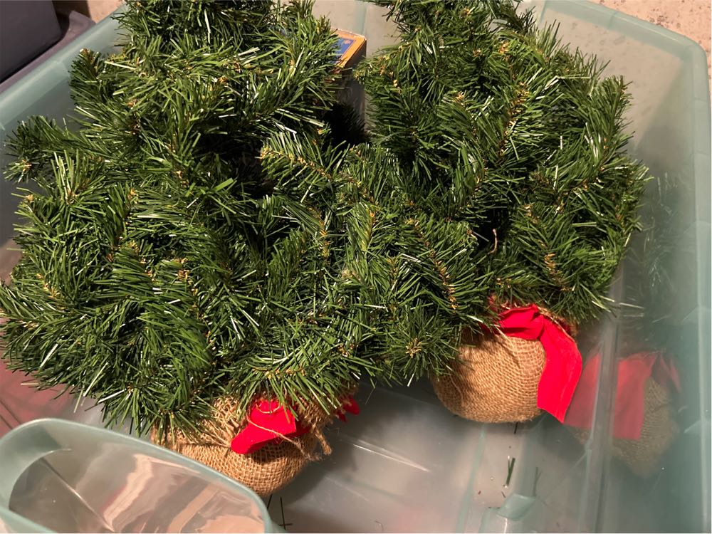 2011 Daughter Shelby