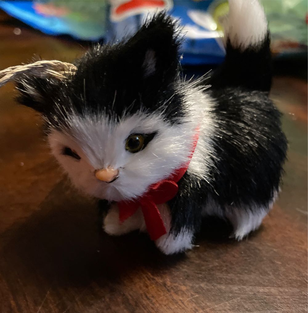 2010 Our Family Photo