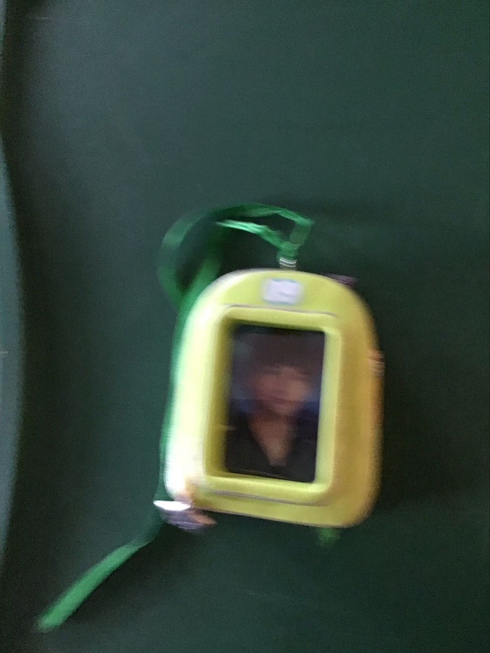 Professor Dumbledore