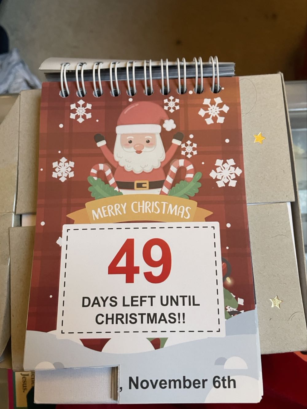 100 Day Countdown  ornament collectible - Main Image 2