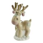 CIRCUS TENT REVIVAL – APPLE/AQUA