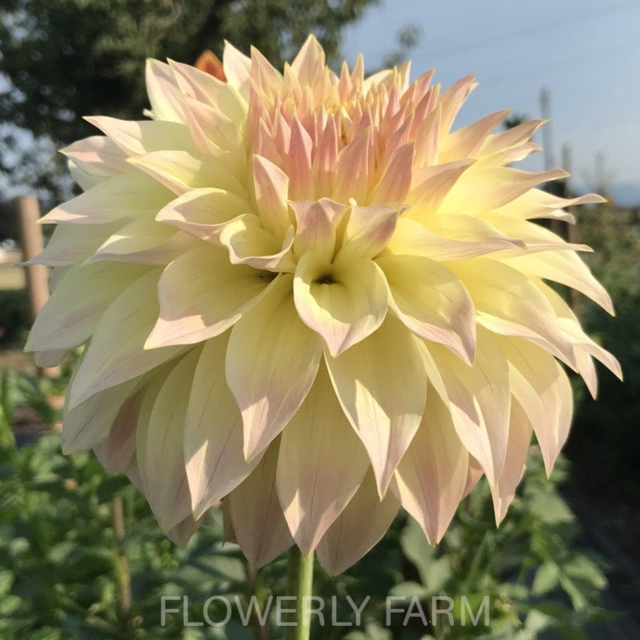 Vintage Glass Snowman Ornament