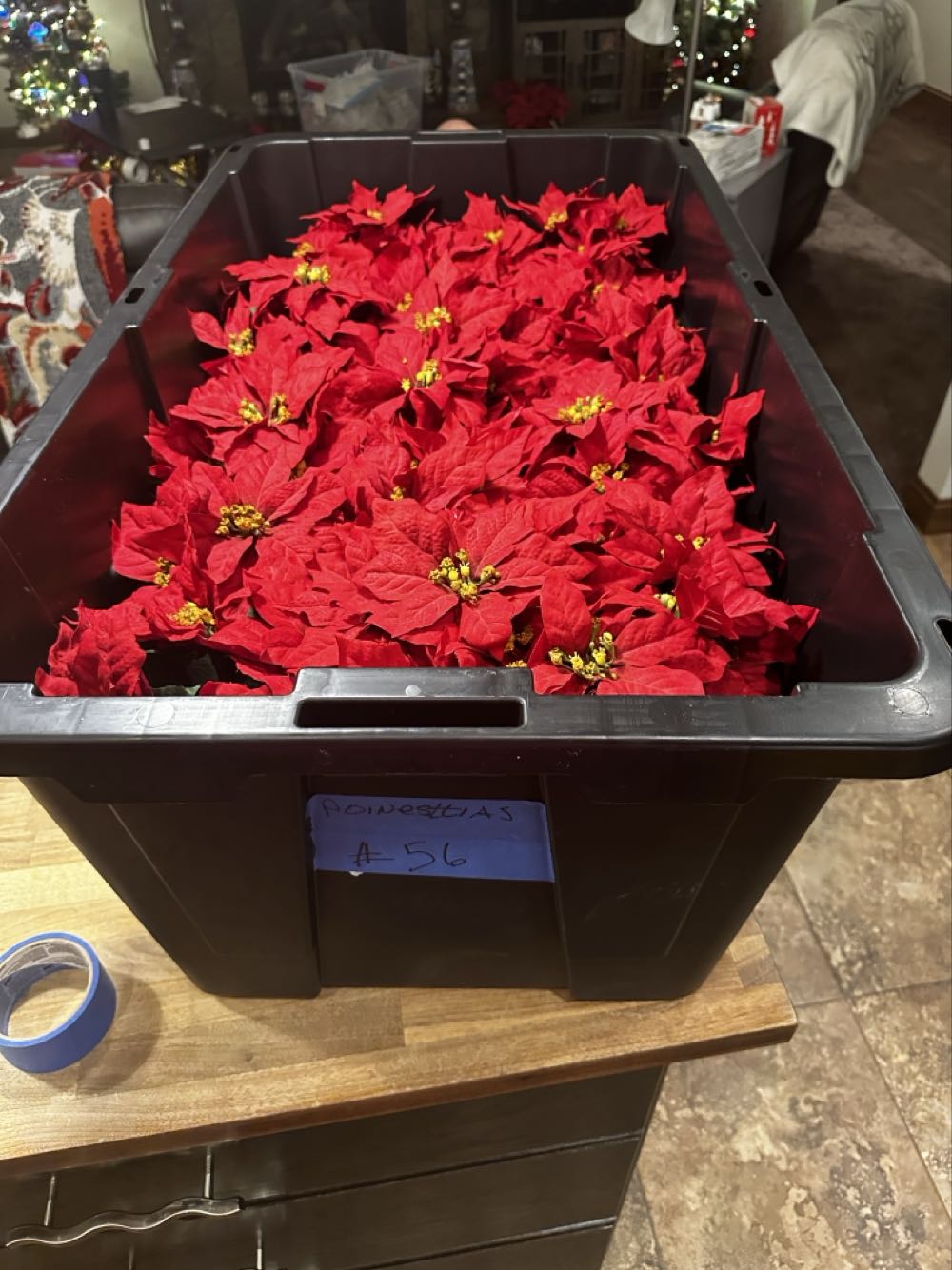 WDW 50th Gold Character- Goofy