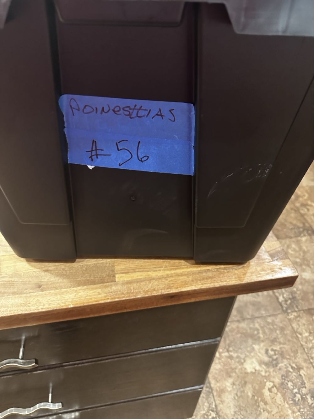 Poinsettia - Christmas (Christmas Floral) ornament collectible - Main Image 2