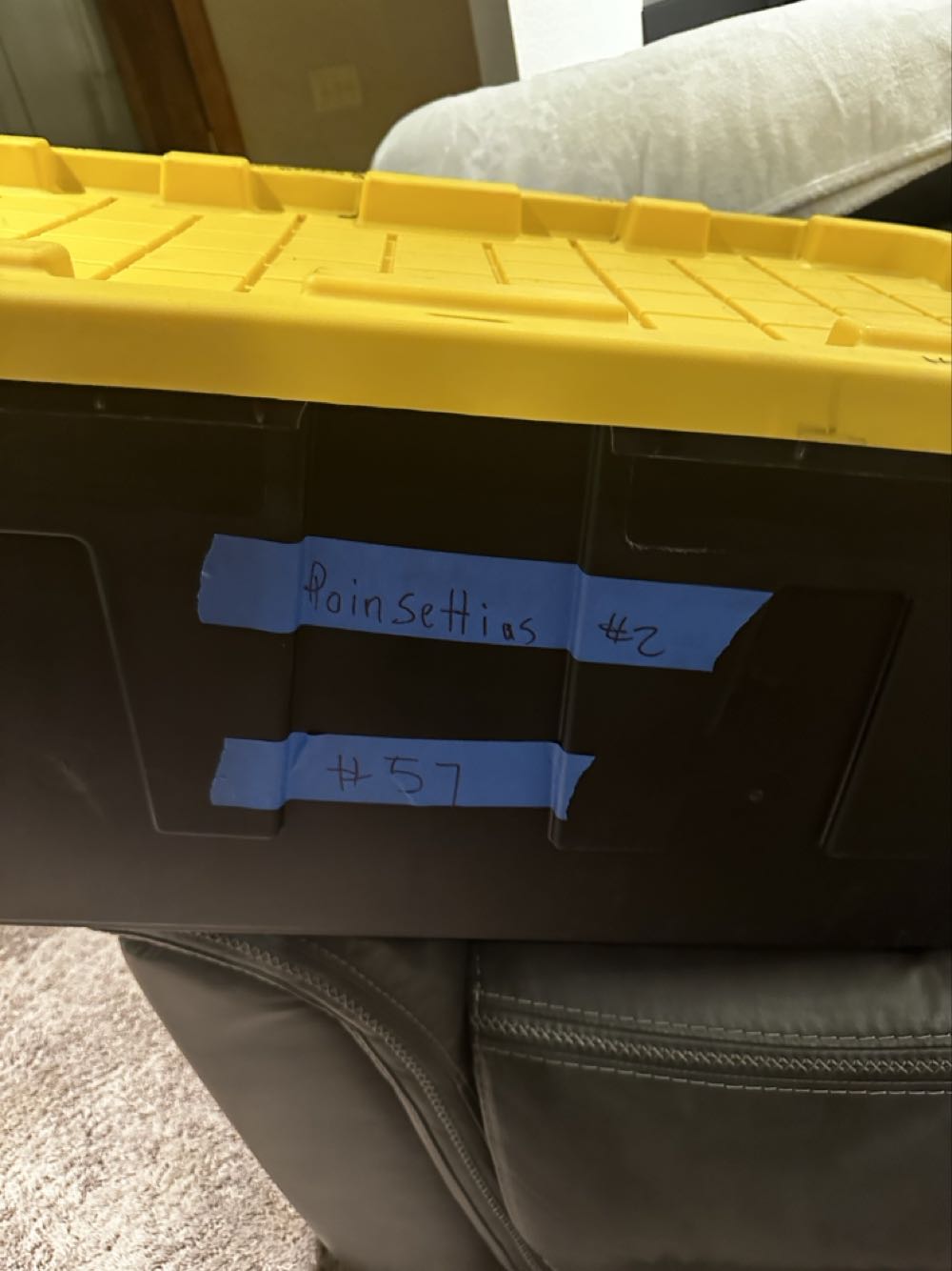 Poinsettias #2 - Christmas (Christmas Floral) ornament collectible - Main Image 2