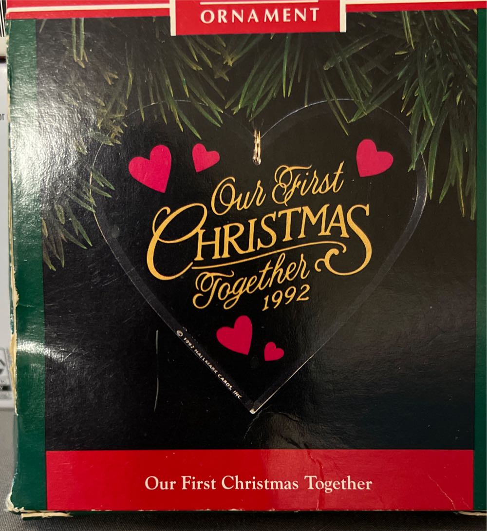 Sea Turtle With Gifts On Back