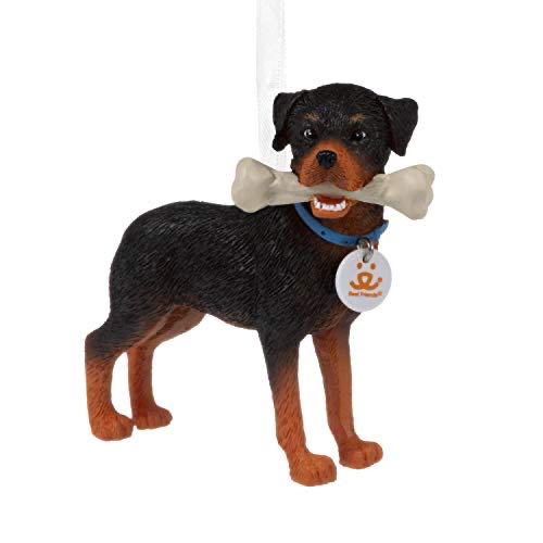 Image 84986