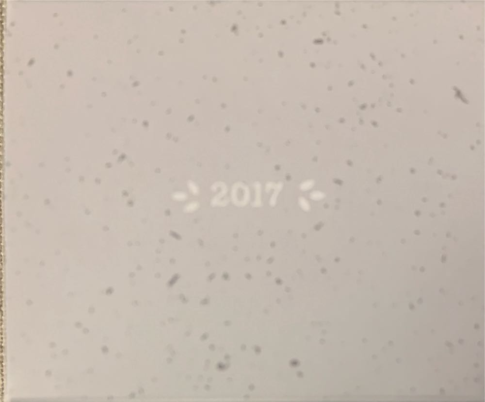 Hallmark 1795qhx1212 Angel Keepsake Christmas Ornaments  (Angel) ornament collectible [Barcode 763795219384] - Main Image 3